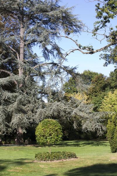 Parc privé de 1,5 hectare — Domaine de la Belvaudière