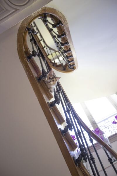 Escalier en colimaçon — Domaine de la Belvaudière